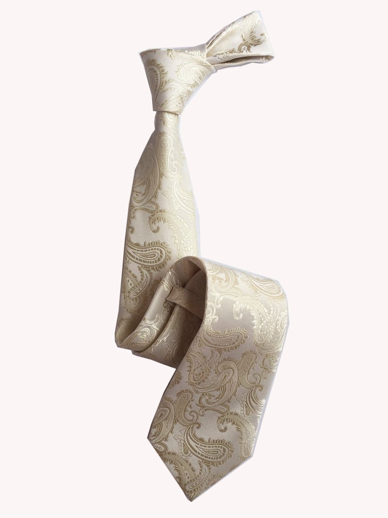 Secdtie Mens Champagne Tie Elegant Events Formal Classic Handsome Necktie for Ideal Gift - Image 5